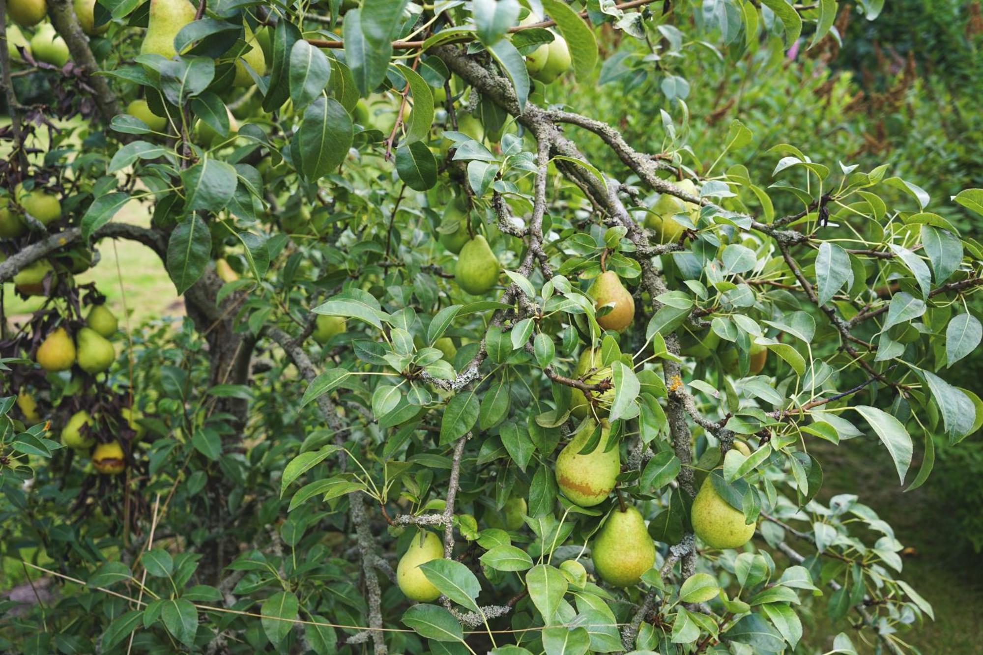 Slube An Den Teichen Hoher Flaeming Rottstock Kültér fotó